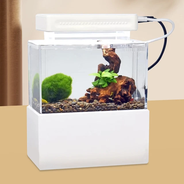Mini Aquarium Fish Tank Desktop Led Light Goldfish Bowl Quiet Air Pump WHITE
