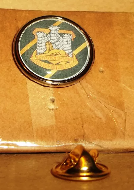 Devon and Dorset Regiment lapel pin badge .