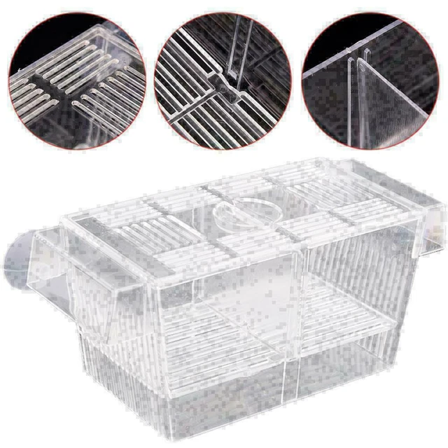 Aquarium Fish Tank Guppy Double Breeding Breeder Rearing C Clear X6K0 L6C0 K5B3