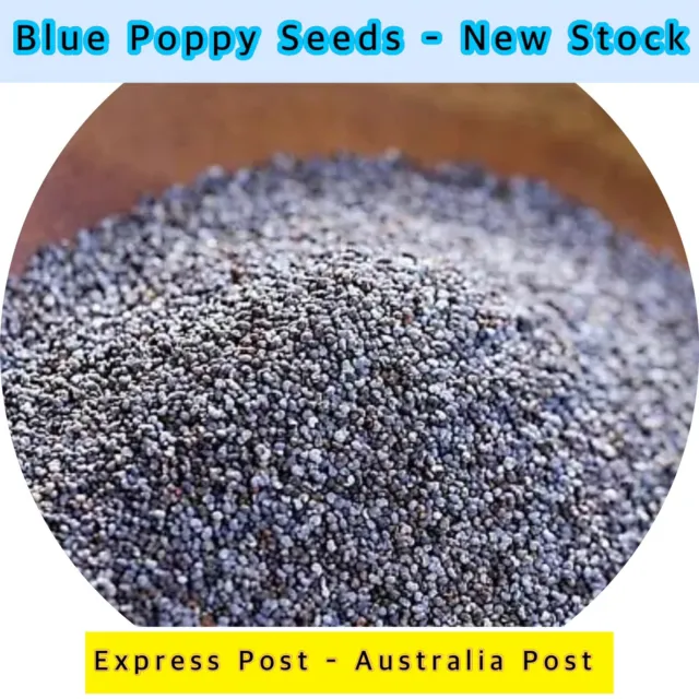 1kg Blue Poppy Seed Seeds NEW STOCK EXPRESS POST Kosher Health Food Vegan