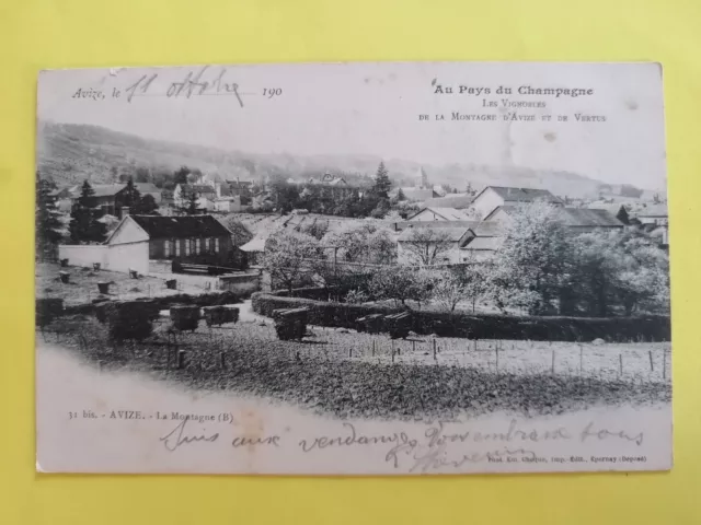 CPA 51 - AVIZE Marne IN THE COUNTRY of CHAMPAGNE Les VINEYARDS de la MONTAGNE VIRTUS