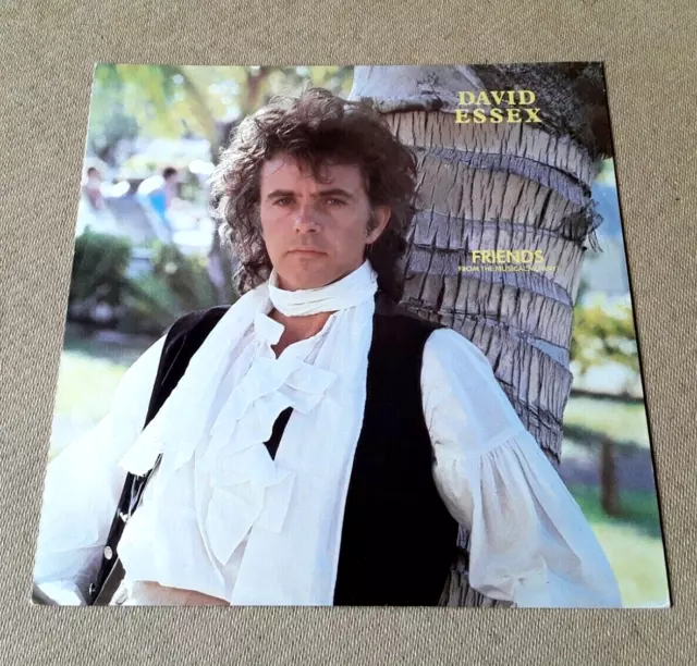 DAVID ESSEX Friends 12" (1985 Lamplight LAMP12) Rare 5 Track 12" in Great Sleeve