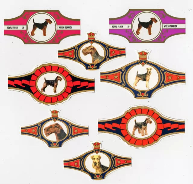 Welsh Terrier Vintage  Dog Dutch Cigar And Collectable Bands