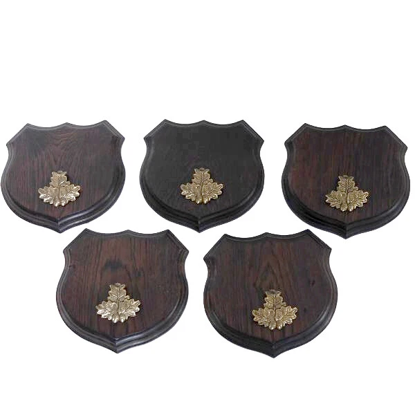5x Wappenschilder Jabalí Af 17cm Escudo de Trofeo Hoja de Roble Portada Pequeño