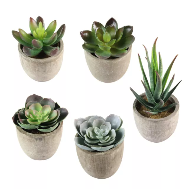 5 Pcs Fake Succulent Succulents Plants Artificial Mini Pots