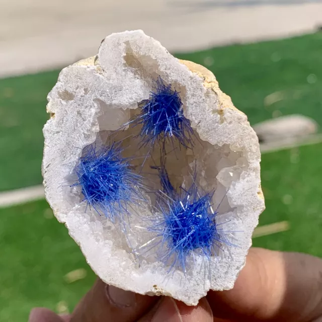 71G Rare Moroccan blue magnesite and quartz crystal coexisting specimen