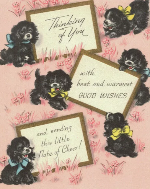 Letterpress greeting cards, Mini cards, Sarah + Maude