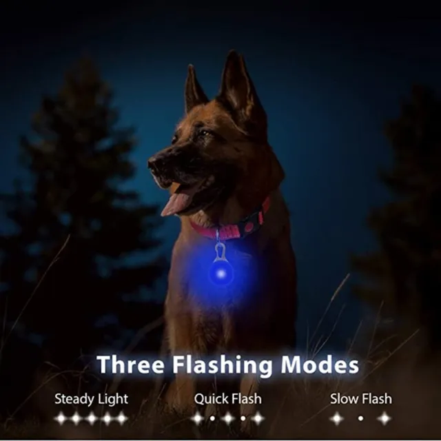 LED Light Up Luminous Dog Cat Pet Collar 3 Modes Pendant Night Safety Walking