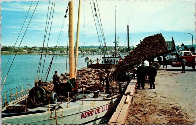 Le Port Matane Quebec Pulp Transport Import Wob Note Canada Pm Postcard
