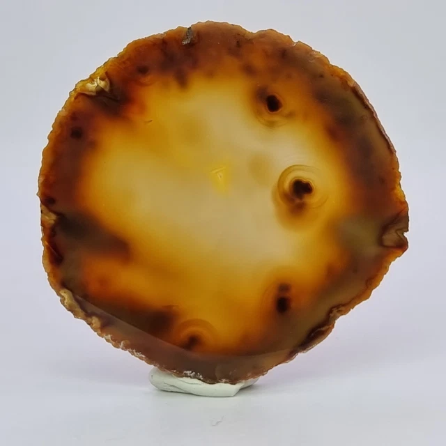 Schöne Achat Scheibe braun mit glatt geschnitten, 52*51*4mm - 20g Quarz Sammlung
