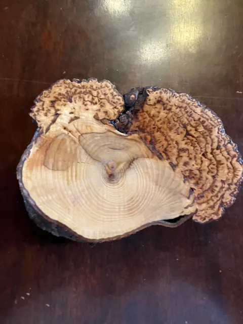 Burled Wood Plate