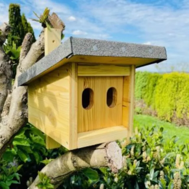 DARLUX Natur Holz Nistkasten für Meise, Rotschwanz Rotkehlchen u. ä. Singvögel