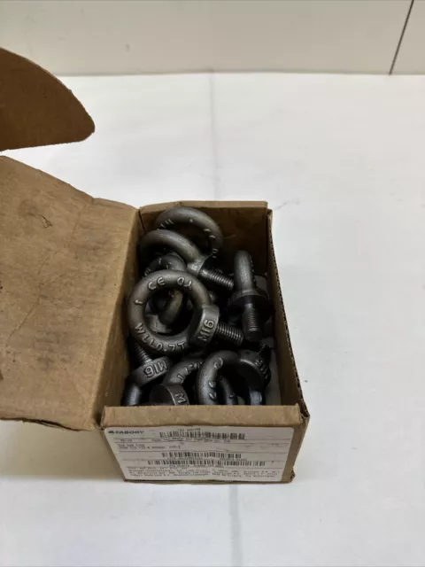 GRAINGER APPROVED M16000.160.0001 Machinery Eye Bolt, Shank D 35 mm,PK10