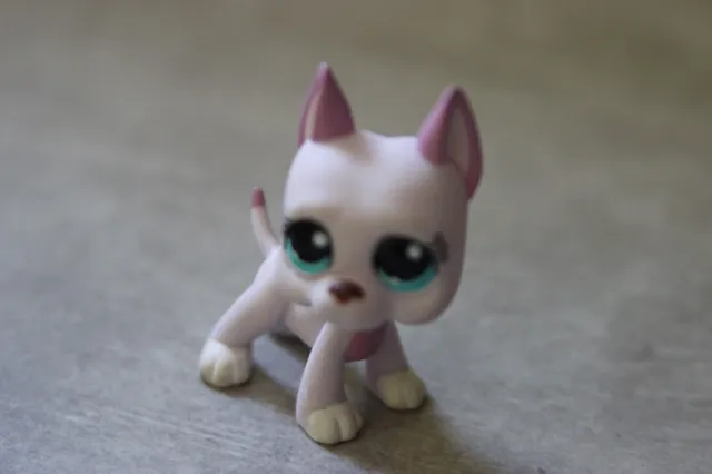 Littlest Petshop Chien Dogue Argentin Dog Lps 1022