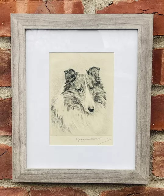 1930’s Signed Collie Dog Drypoint Etching. Dog Portrait Artist Marguerite Kirmse