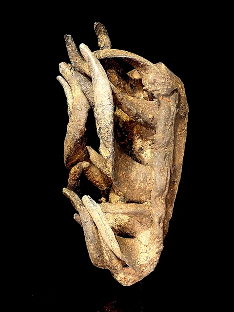 African Tribal Face Mask Rare & Old Tribal Used African Gela Guere War Horn-5994