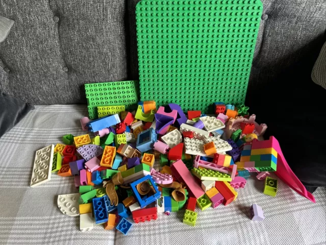 Duplo Bundle Assorted Bricks