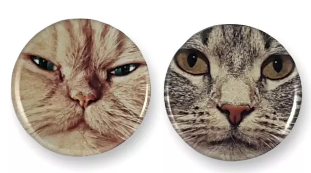 Cat Faces Set of 2 - 2.25 Inch Magnets for Fridge, Kitchen, Whiteboard Cute