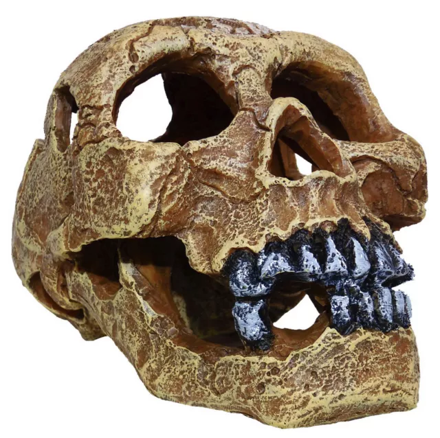 Aquarium Deko ❤ Totenkopf L ❤ Schädel 16cm groß Terrarium Skull Dekoration  Höhle