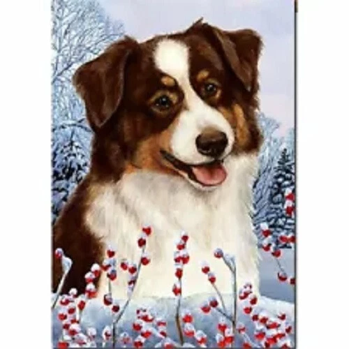 Winter House Flag - Red Tri Australian Shepherd