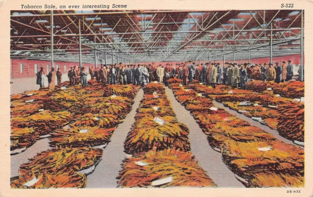 Danville VA Virginia Brightleaf Tobacco Market Wynne's Falls Vtg Postcard A12