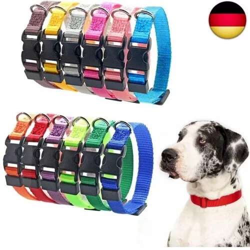 Hundehalsband Welpen-Identifikations-Halsband verstellbar Nylon Hunde Halsband