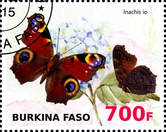 Tier Wildtier Insekt Schmetterling Bestäuber Tagpfauenauge Edelfalter / 172