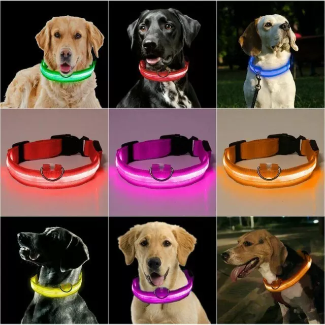 ATRTEC Intermitente Luminoso Luz LED Collar para Perro Ajustable Brillante