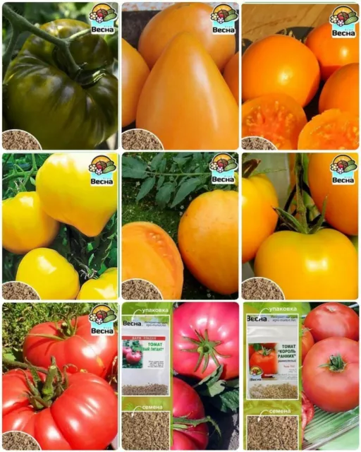 A set of seeds Tomato from UKRAINE . NON-GMO Selected seeds