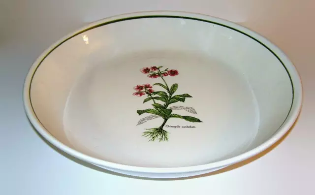 Stoviglierie Italian Majolica Art Pottery Large Pasta Serving Bowl
