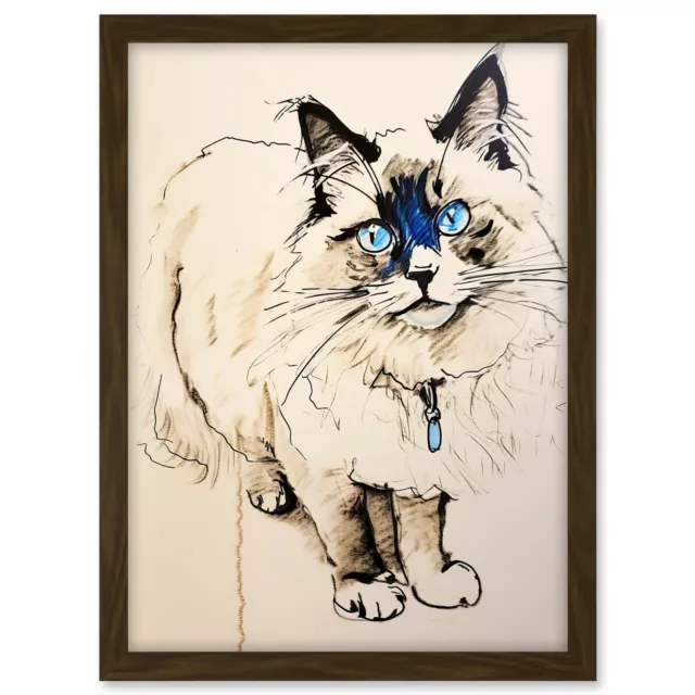 Blue Point Ragdoll Cat Sketch Drawing Portrait Framed Wall Art Picture Print A3