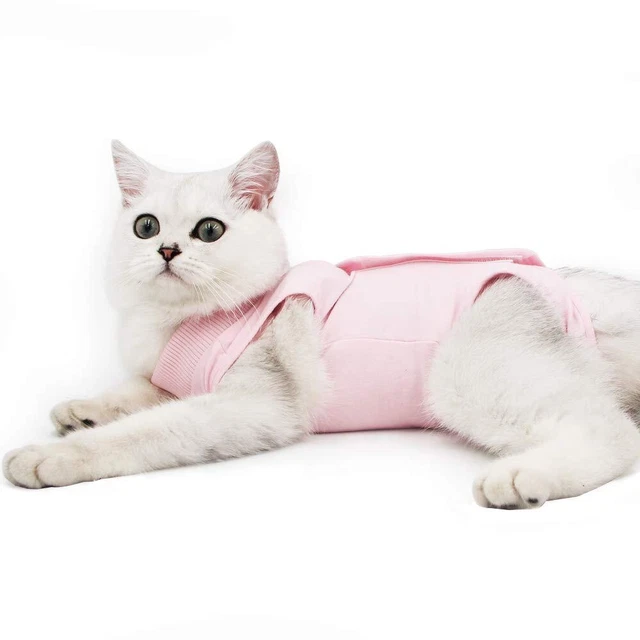 Traje de recuperación para heridas abdominales o enfermedades de la piel, collar electrónico alternativo