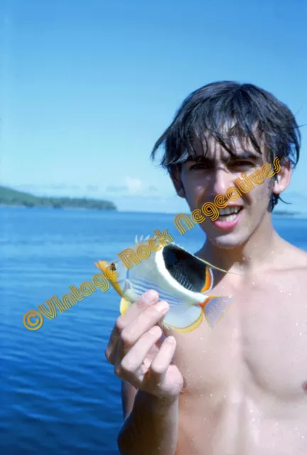 Young GEORGE HARRISON in Tahiti '64  Beatles - PRO ARCHIVAL Photo Print (11x14)