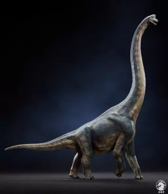 W-Dragon 1/35 Brachiosaurus Giraffatitan Dinosaur Model Statue Museum Collection