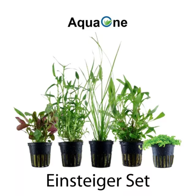 Plantes Ensemble Avec 5 Débutant Pot De Aquarium Aquatiques AquaOne Nr.106 2