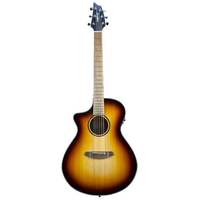 Breedlove DSSC31CELED - Guitare électro acoustique - discovery s concert – edge