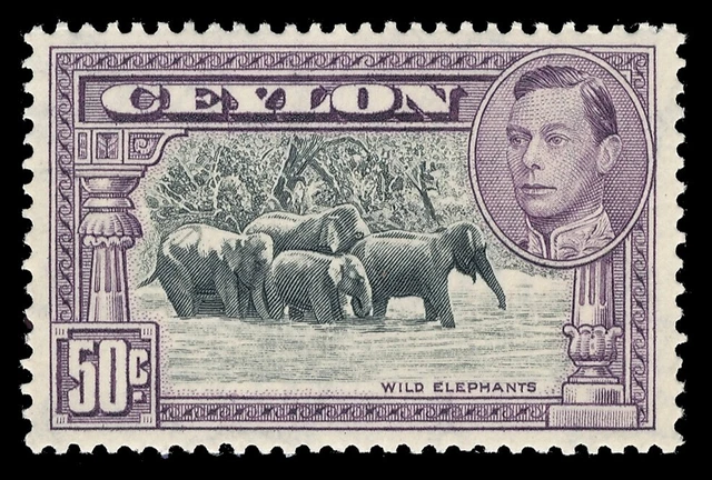 Ceylon 1938 KGVI 50c black & mauve (p13½) MNH. SG 394b. Sc 286d.