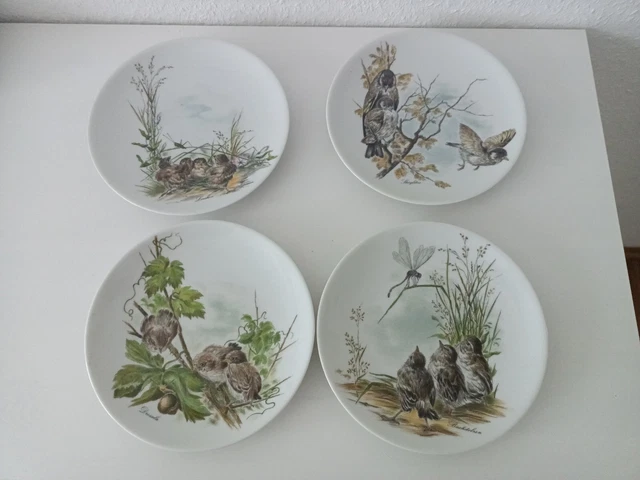 4 x Wandteller Vögel Bavaria Vohenstrauss Drosseln Lerchen Stieglitz Bachstelze