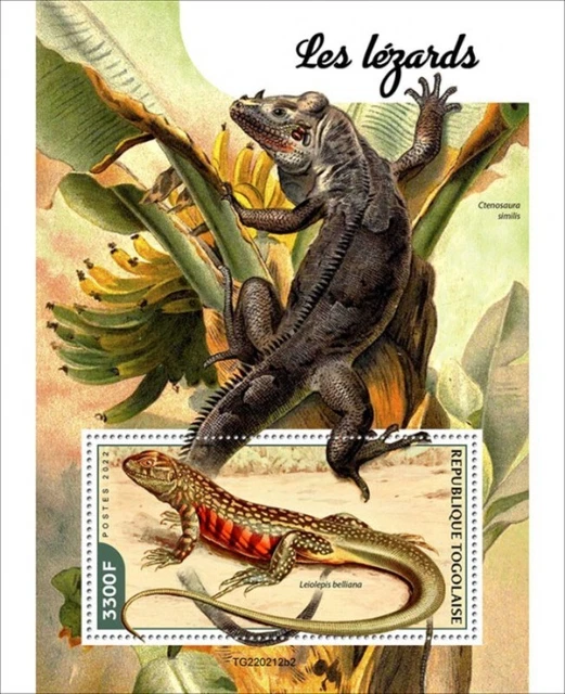 Togo - 2022 Handelsüblichen Schmetterling Eidechse - Briefmarke Souvenir Blatt -