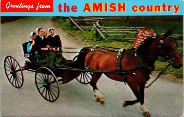 Greetings From Amish Country Horse Buggy Pennsylvania Dutch Postcard UNP VTG