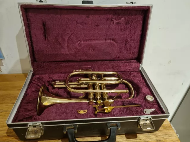 AMATI KRASLICE ACR 201 Gold Lacquered Brass Cornet Key Of Bb With Case