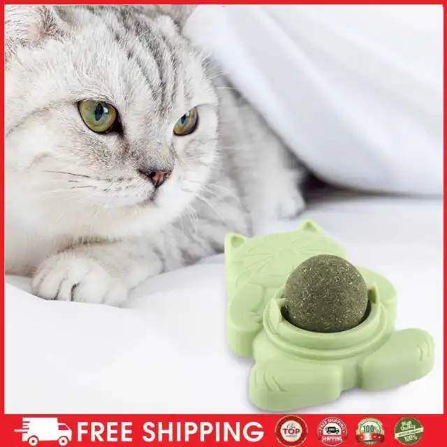 Spinning Cat Toys denti molari stick-on erba gatta snack prodotti per animali domestici (verde)