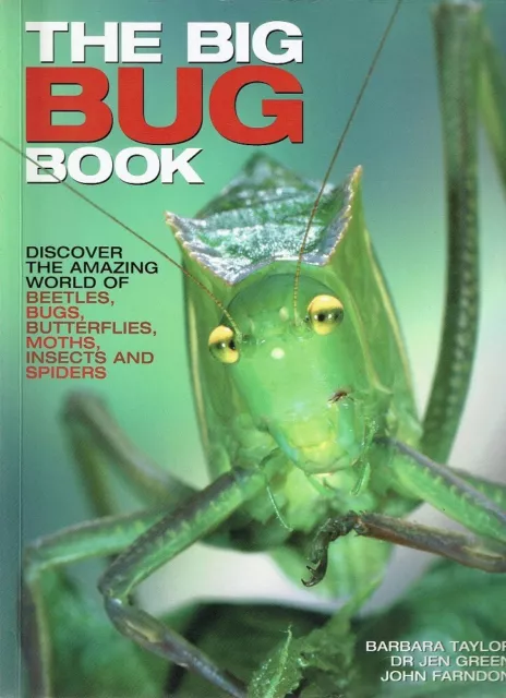 The Big Bug Book by Barbara Taylor Dr Jen Green John Farndon - Book