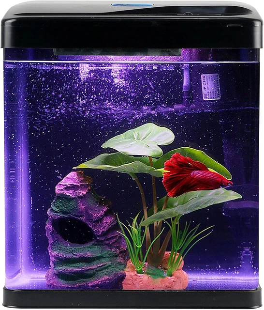 Fish Tank Self Cleaning Glass, 2 Gallon Small Aquarium, LED Light