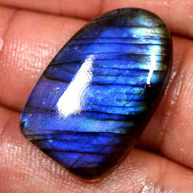 35.70 Cts 100% Natural Deep Blue Flash Labradorite Cabochon Loose Gemstone SZ11