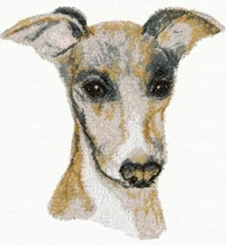 Embroidered Short-Sleeved T-Shirt - Italian Greyhound AED16353 Sizes S - XXL