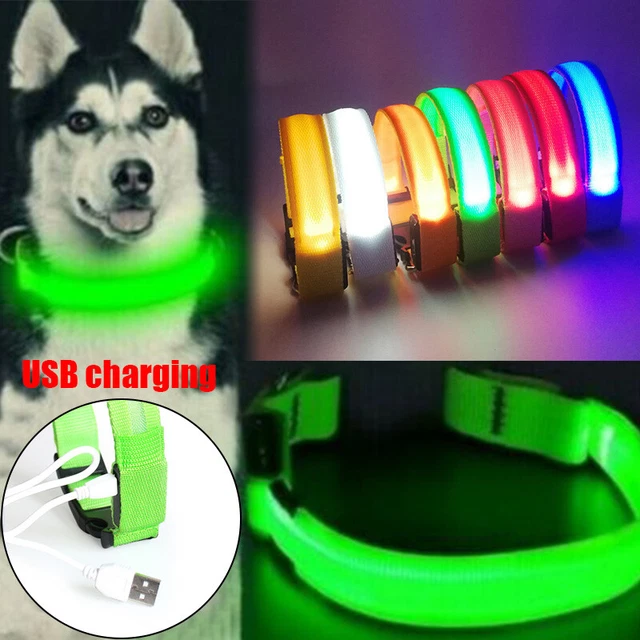 Collar intermitente parpadeante brillante collar para perro USB cable de carga LED