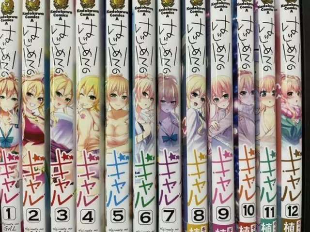 DVD ANIME HAJIMETE NO GAL VOL.1-10 END ENGLISH DUBBED REGION ALL +