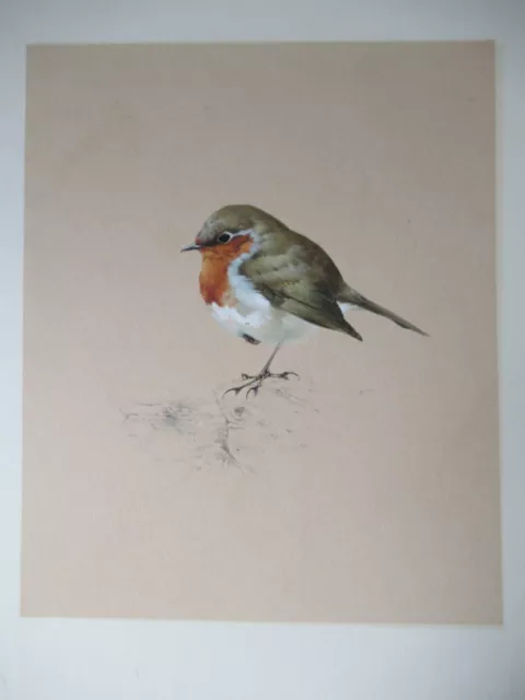 Drei frühe Sir Peter Scott Wildgeflügel Aquarellgemälde signiert gerahmt 2