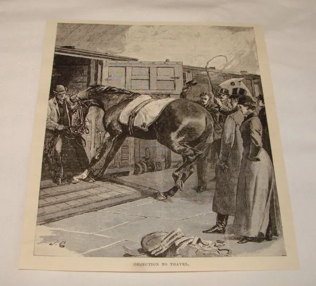 1894 Rivista Incisione ~ DI CAVALLO Objection A Viaggio